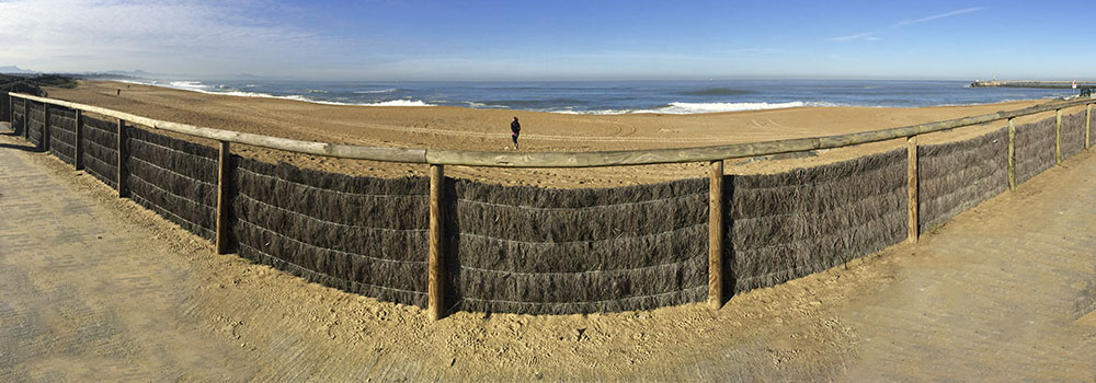 cloture en brande sur plage